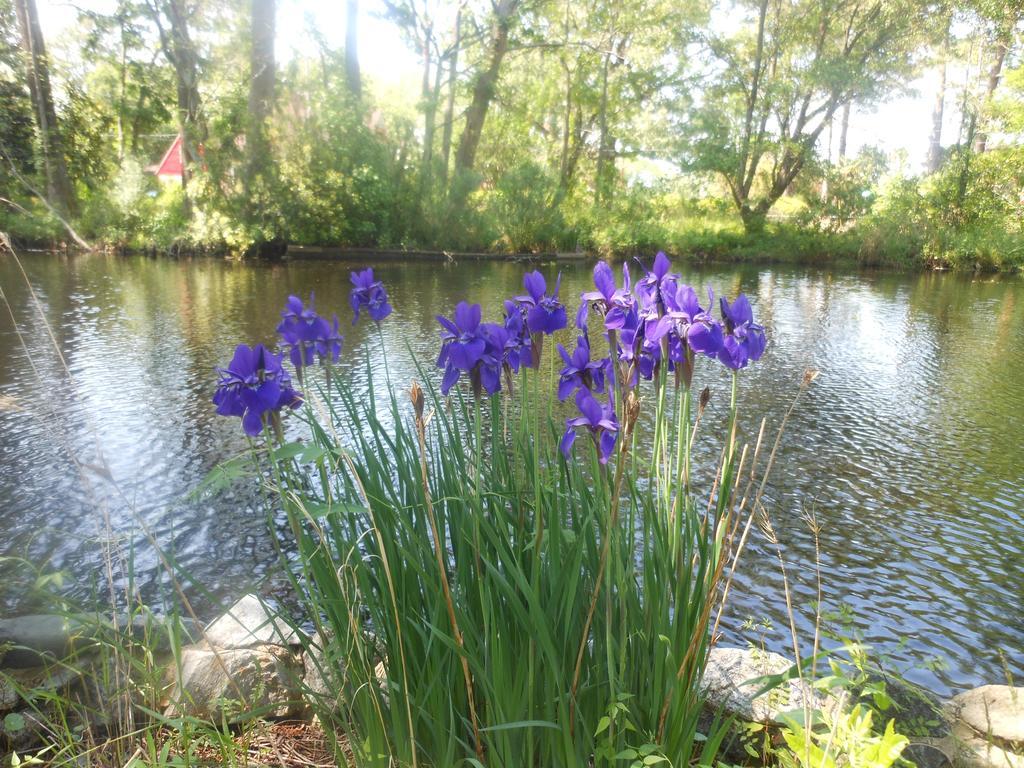 The Pond House Inn Elizabeth City Bagian luar foto