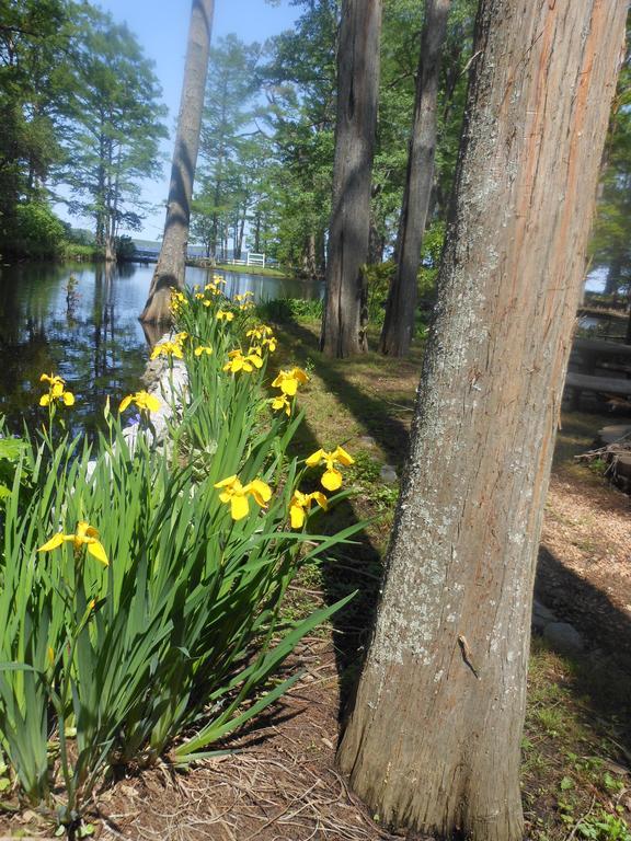 The Pond House Inn Elizabeth City Bagian luar foto