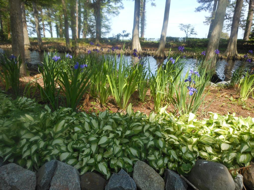 The Pond House Inn Elizabeth City Bagian luar foto